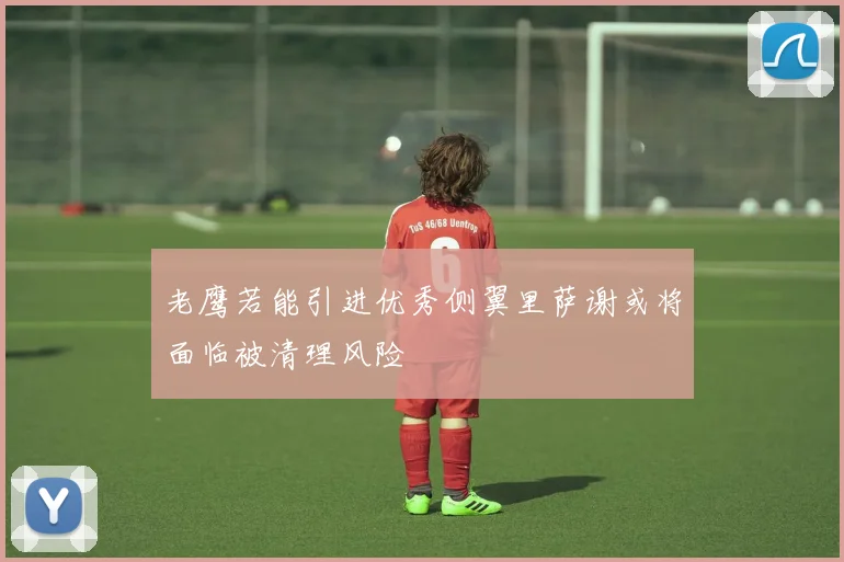 老鹰若能引进优秀侧翼里萨谢或将面临被清理风险