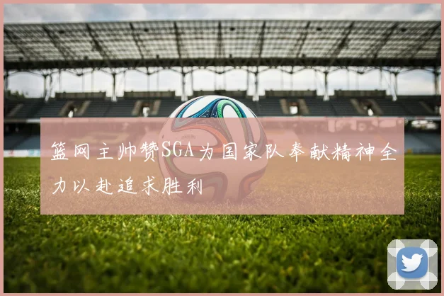篮网主帅赞SGA为国家队奉献精神全力以赴追求胜利